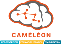 Logo CAMÉLÉON